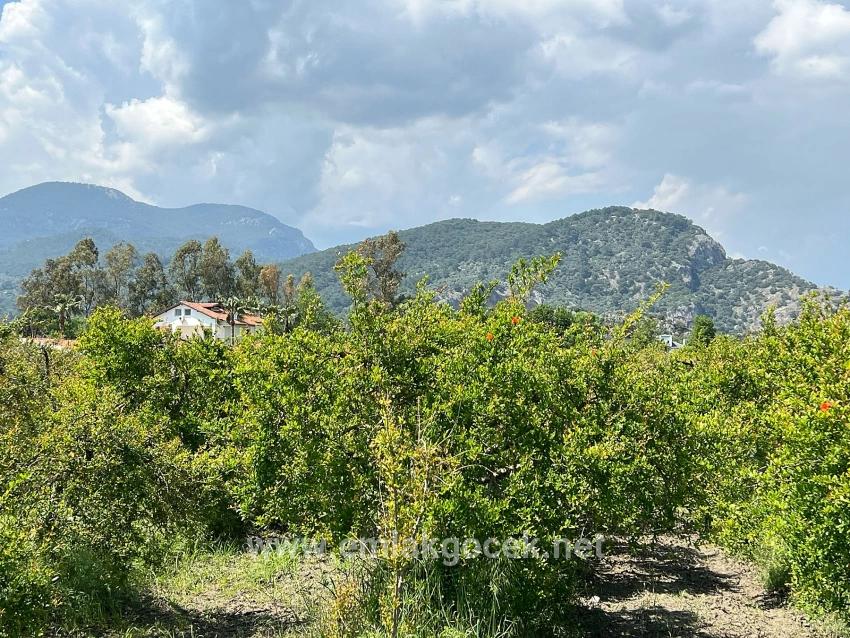 Dalyan Maraş Mevkiinden 5,100m2 %5 Konut İmarlı Satılık Arsa