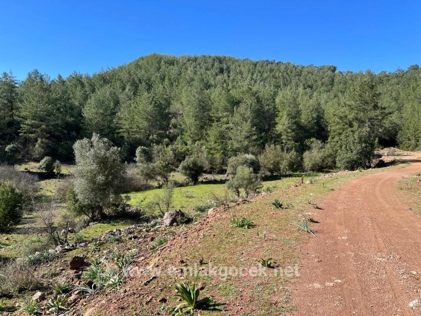 Ortaca Gökbel Mah. Satılık Tarla - Tarla İmar Durumlu - 24.163 m²