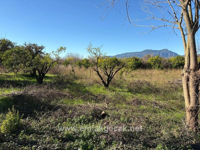Ekşiliyurt'ta 1085m2 Yerleşik Alan İçerisinde İmarlı Satılık Arsa