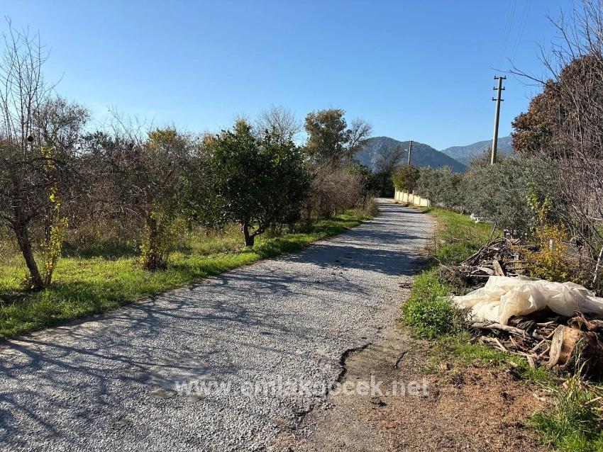 Ortaca Dalyan Mah. Satılık Tarla - Tarla İmar Durumlu - 4.541 m²