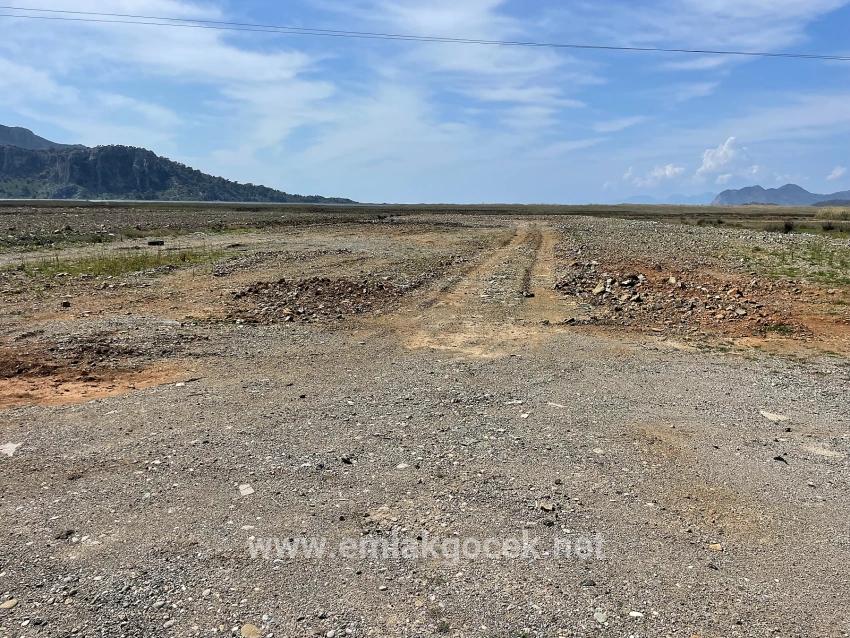 Dalyan İztuzu Plaj Yoluna Sıfır 19.600m2 Satılık Tarla