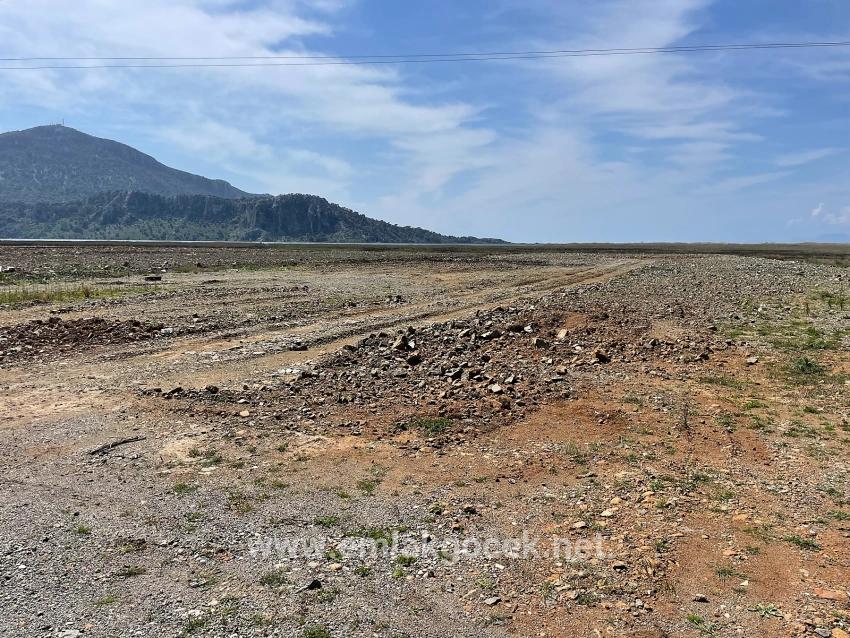 Dalyan İztuzu Plaj Yoluna Sıfır 19.600m2 Satılık Tarla