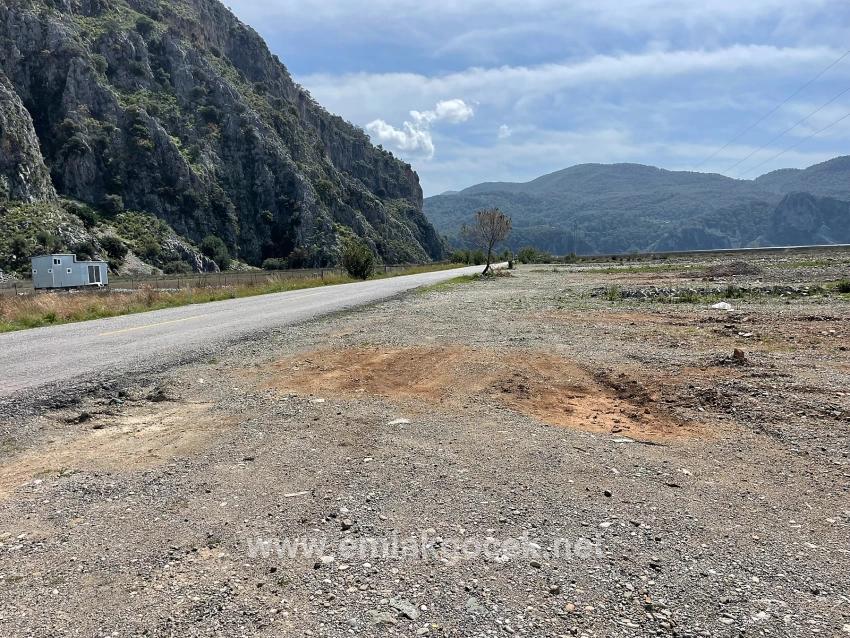 Dalyan İztuzu Plaj Yoluna Sıfır 19.600m2 Satılık Tarla