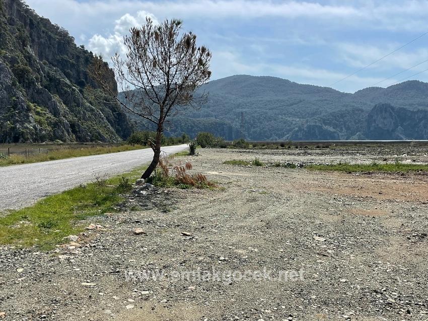 Dalyan İztuzu Plaj Yoluna Sıfır 19.600m2 Satılık Tarla