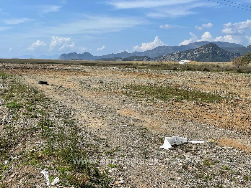 Dalyan İztuzu Plaj Yoluna Sıfır 19.600m2 Satılık Tarla