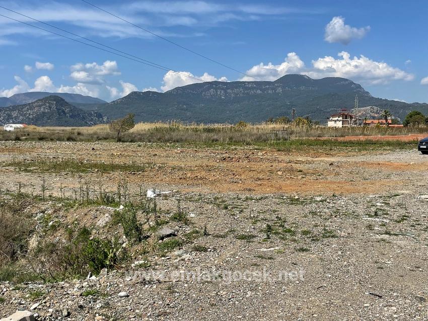 Dalyan İztuzu Plaj Yoluna Sıfır 19.600m2 Satılık Tarla