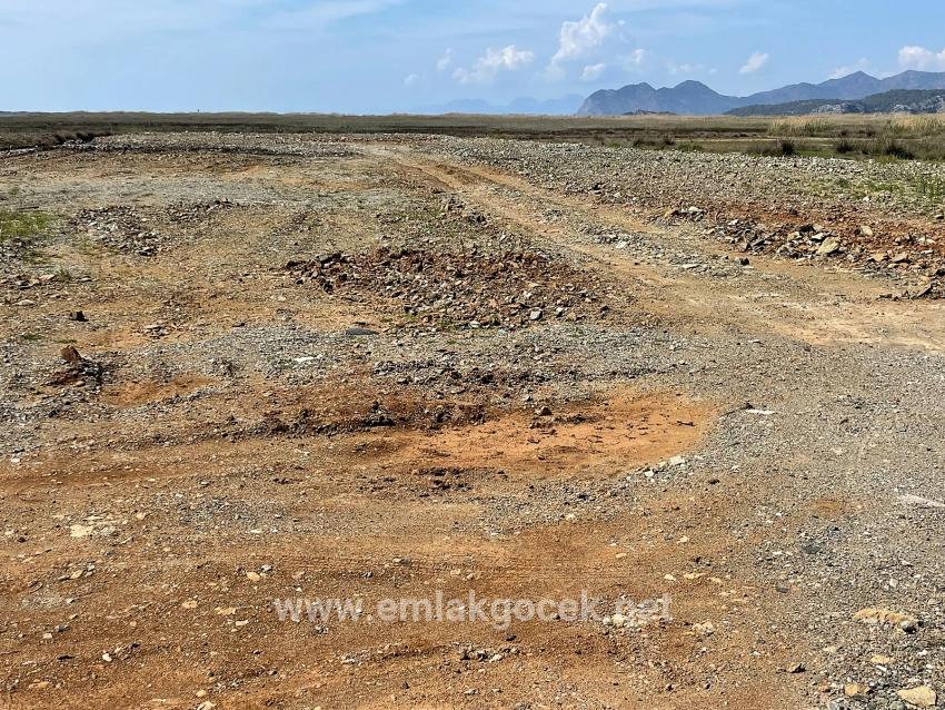 Dalyan İztuzu Plaj Yoluna Sıfır 19.600m2 Satılık Tarla