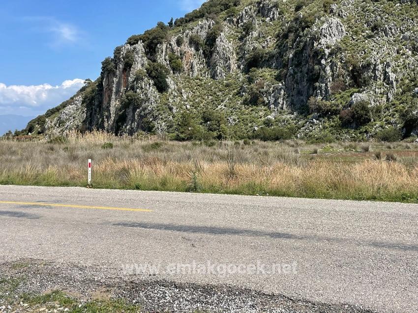 Dalyan İztuzu Plaj Yoluna Sıfır 19.600m2 Satılık Tarla