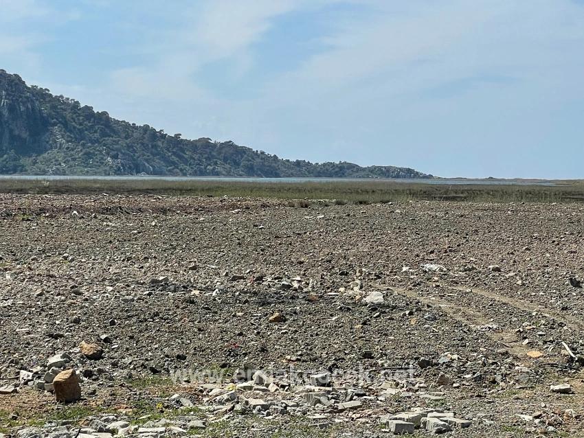 Dalyan İztuzu Plaj Yoluna Sıfır 19.600m2 Satılık Tarla