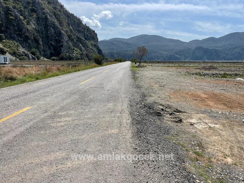 Dalyan İztuzu Plaj Yoluna Sıfır 19.600m2 Satılık Tarla