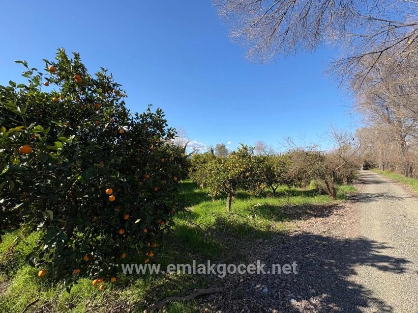 Okçular'da Yerleşik Alanında 4,326m2 Satılık Arsa
