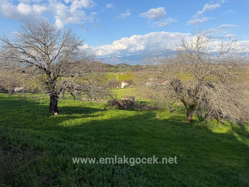 Dalyan'da Göl Manzaralı 11.230m2 Satılık Tarla