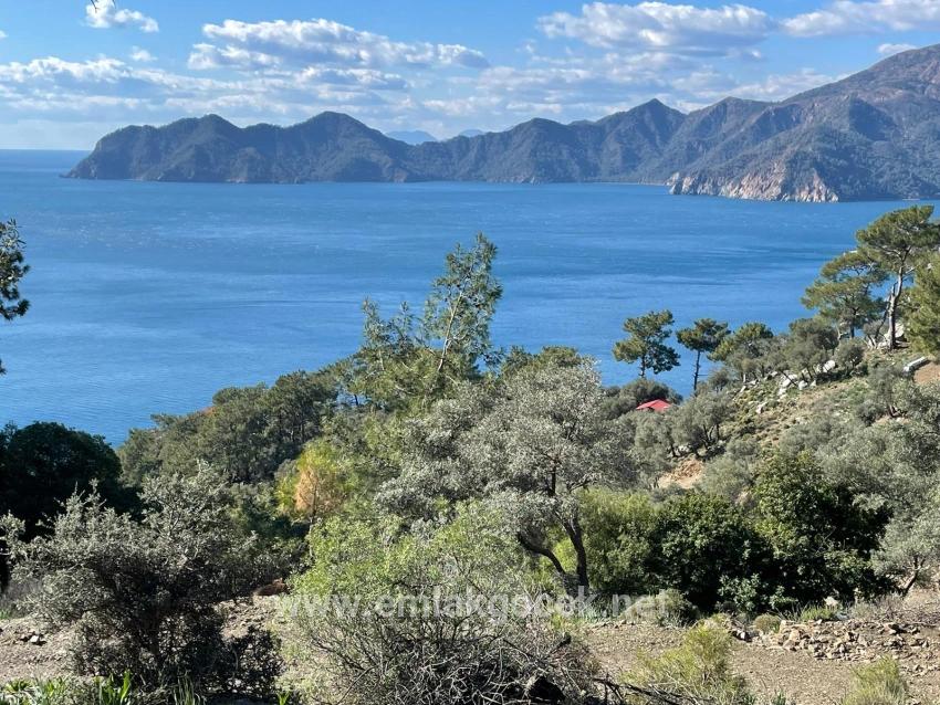 Çandır Full Deniz Manzaralı 20.000m2 Satılık 2b