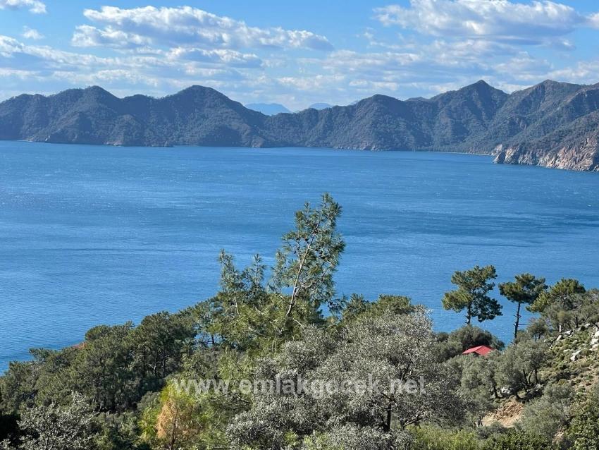 Çandır Full Deniz Manzaralı 20.000m2 Satılık 2b