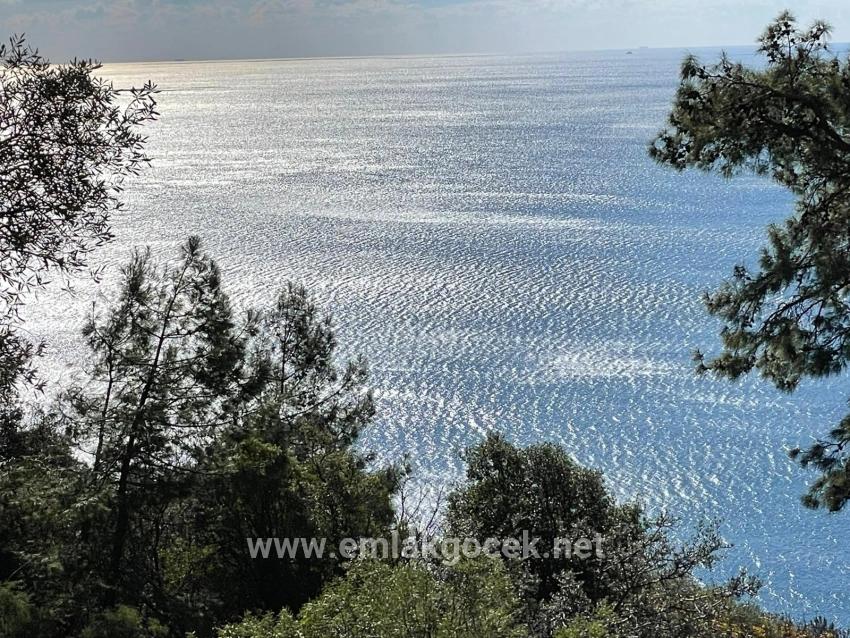 Çandır Full Deniz Manzaralı 20.000m2 Satılık 2b