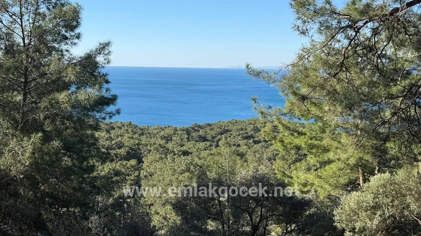 Köyceğiz Çandır Mah. Satılık Tarla - Konut İmar Durumlu - 5.715 m²