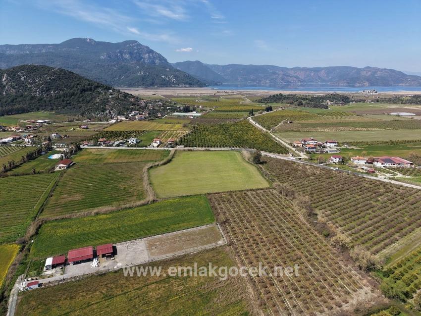 Dalyan Merkeze Yakın 17.550m2 Satılık Bağ-bahçe