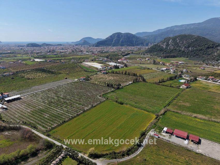 Dalyan Merkeze Yakın 17.550m2 Satılık Bağ-bahçe