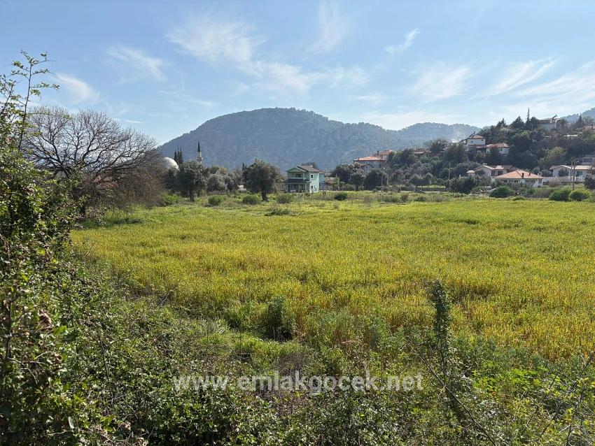 Köyceğiz Çandır Köyü'de Hisseli Rızai Taksimli 2.023m2 Satılık Tarla