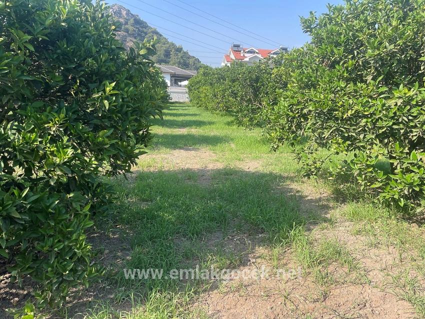 Dalyan Gülpınar'da 722m2 Satılık Arsa