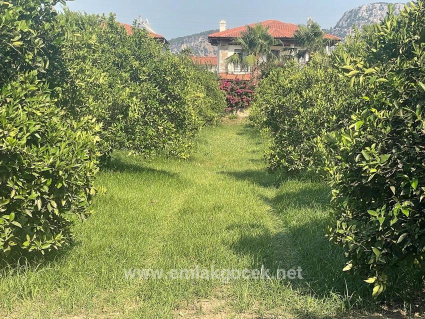 Dalyan Gülpınar'da 722m2 Satılık Arsa