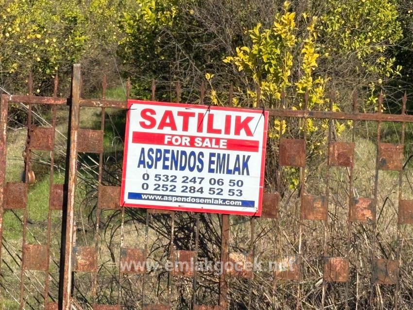 Tepearası'nda 23000m2 Müstakil Satılık Tarla