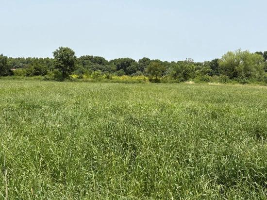 Okçular Marmarlı'da 2390m2 Satılık Arsa