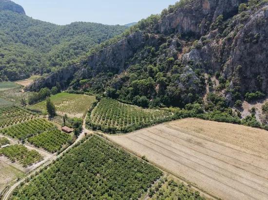 Dalyan'da 20.786m2 satılık tarla