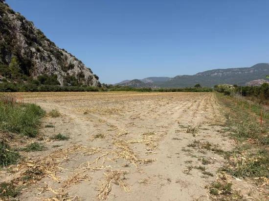 Dalyan'da 20.786m2 satılık tarla