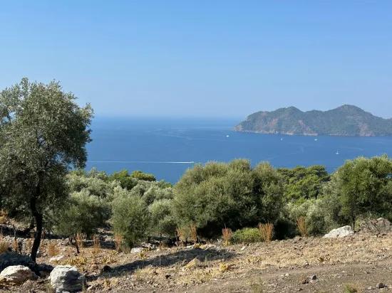 Çandır'da deniz manzaralı 21.000 m2 satılık 2b tarla