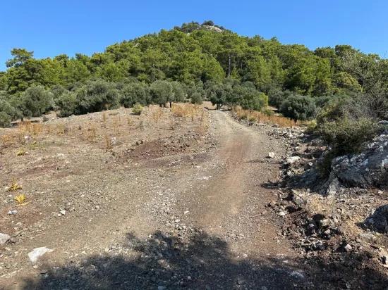 Çandır'da deniz manzaralı 21.000 m2 satılık 2b tarla