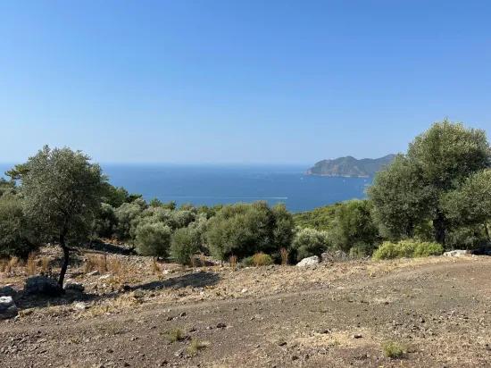 Çandır'da deniz manzaralı 21.000 m2 satılık 2b tarla