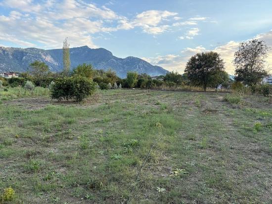 Dalyan'da 7.450m2 %5 İmarlı Satılık Arsa