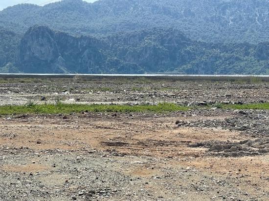 Dalyan İztuzu Plaj Yoluna Sıfır 19.600m2 Satılık Tarla