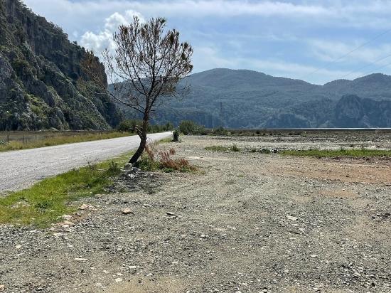 Dalyan İztuzu Plaj Yoluna Sıfır 19.600m2 Satılık Tarla