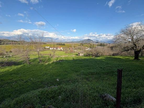 Dalyan'da Göl Manzaralı 11.230m2 Satılık Tarla