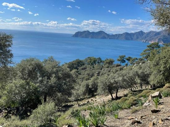 Çandır Full Deniz Manzaralı 20.000m2 Satılık 2b