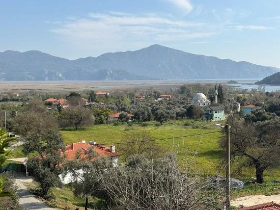 Köyceğiz Çandır Köyü'de Hisseli Rızai Taksimli 2.023m2 Satılık Tarla