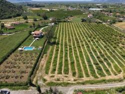 Ortaca Dalyan Mah. Satılık Tarla - Tarla İmar Durumlu - 5.100 m²
