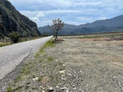 Ortaca Dalyan Mah. Satılık Tarla - Konut İmar Durumlu - 19.600 m²
