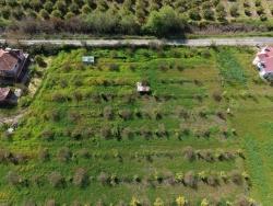 Ortaca Eskiköy Mah. Satılık Pansiyon - 11.000 m²