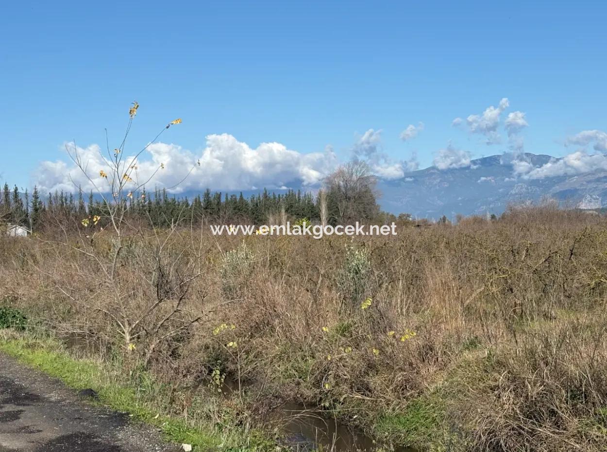 Tepearasın'da 23,000M2 Müstakil Satılık Tarla Bahçe