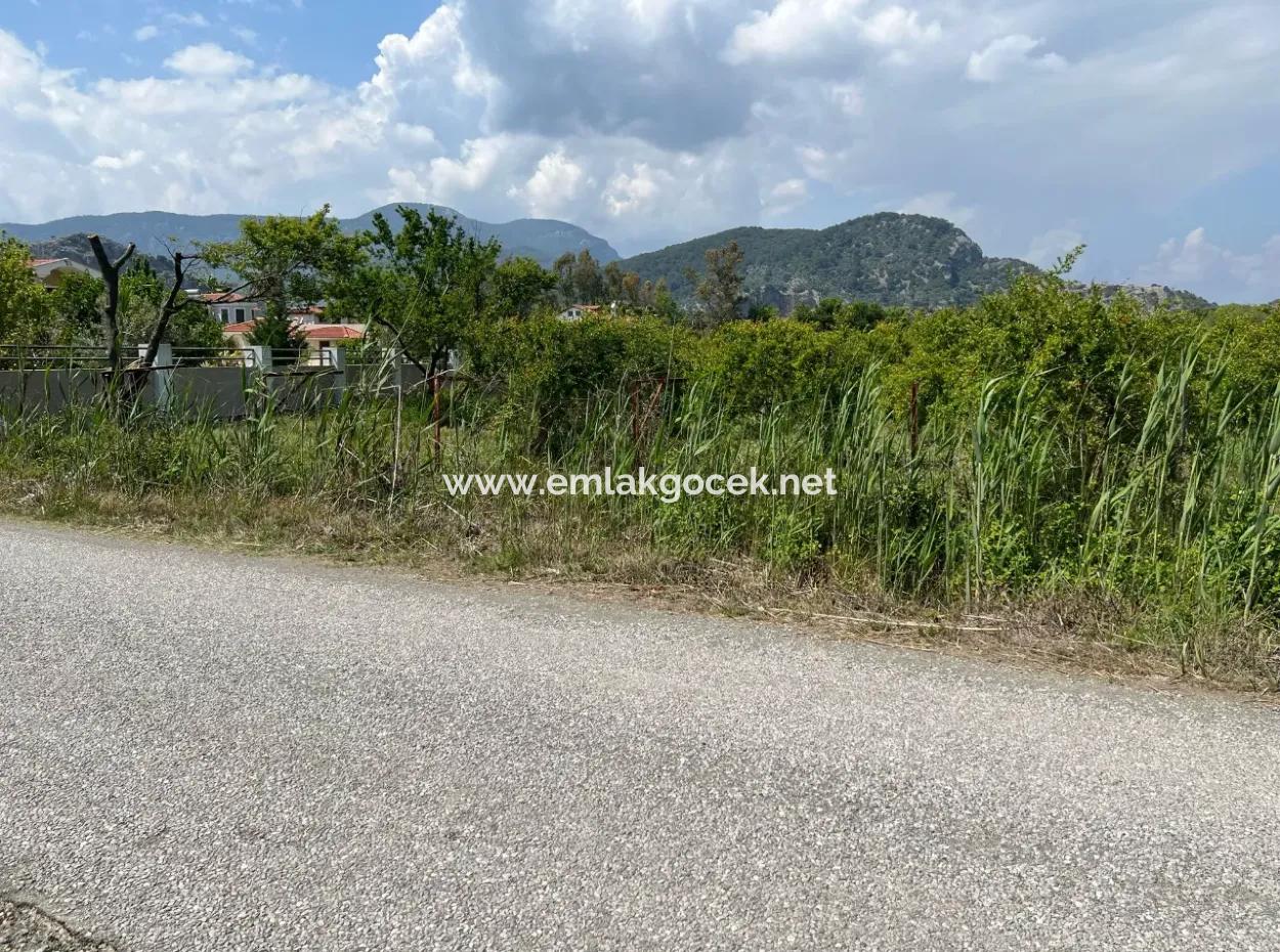 Dalyan Maraş Mevkiinden 5,100M2 %5 Konut İmarlı Satılık Arsa