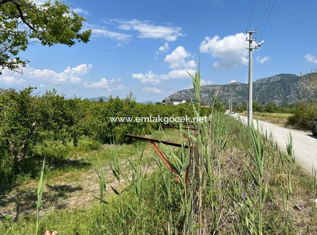 Dalyan Maraş Mevkiinden 5,100M2 %5 Konut İmarlı Satılık Arsa