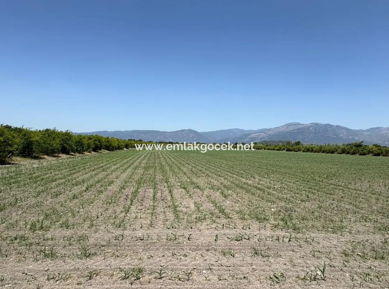 Tepearası'nda 46,550M2 Satılık Tarla