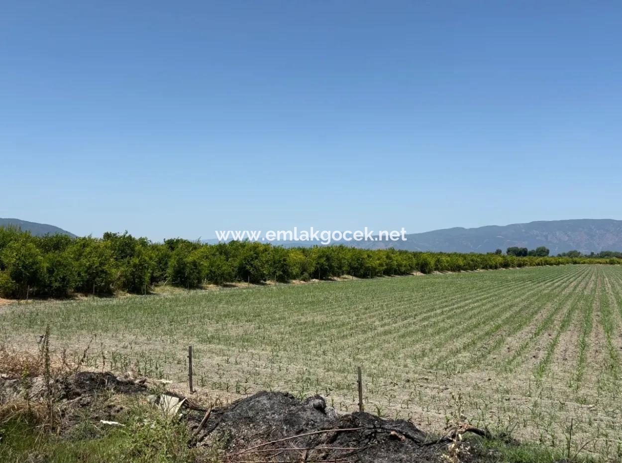 Tepearası'nda 46,550M2 Satılık Tarla