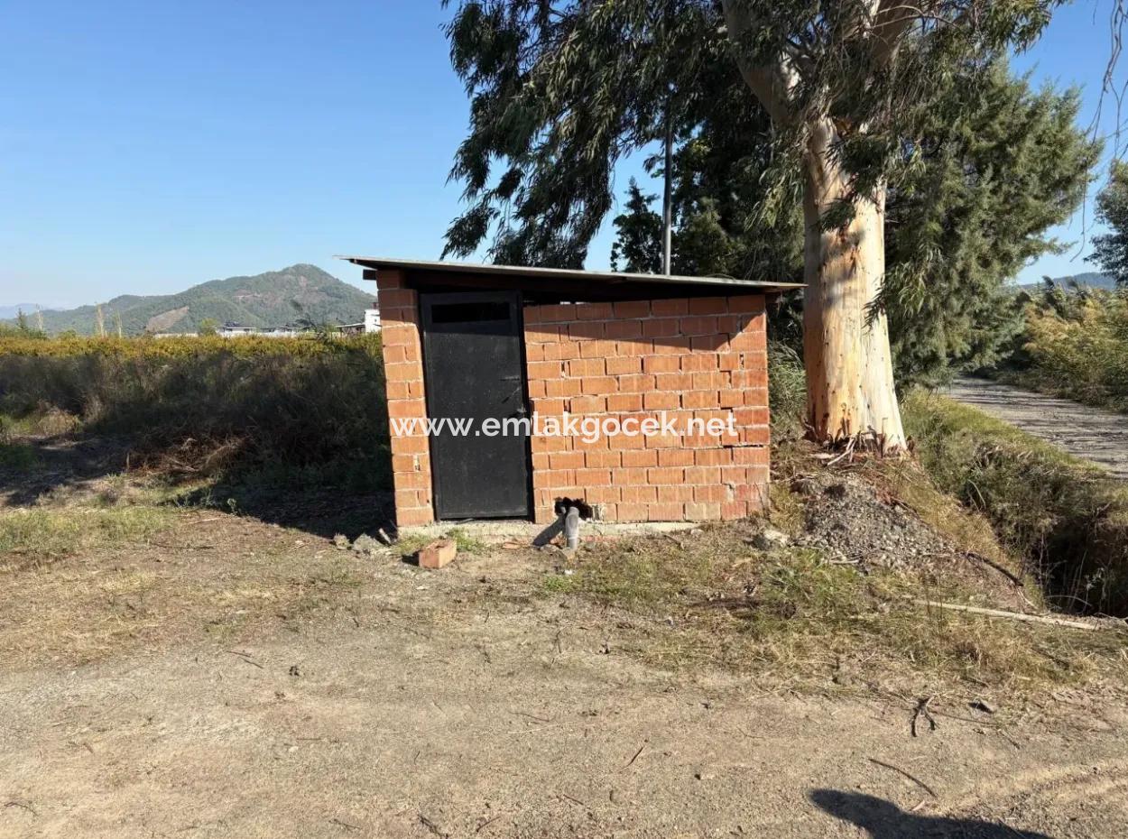 Eskiköy'de 21500M2 Satılık Nar Bahçesi