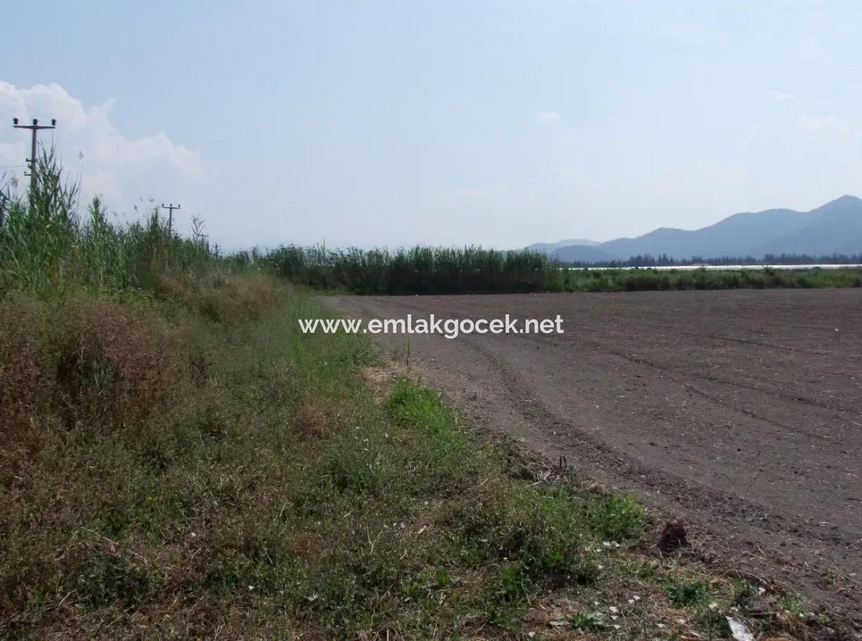 Eskiköyde Satılık Arsa Tarla Ortaca Dalyan Eskiköyde 15,760M2 Satlık Arsa Tarla