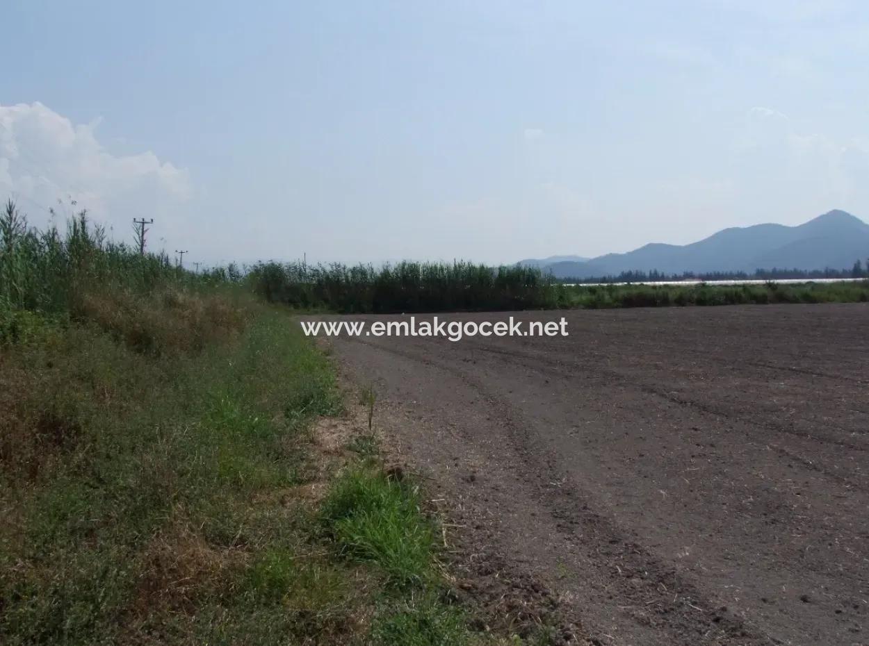 Eskiköyde Satılık Arsa Tarla Ortaca Dalyan Eskiköyde 15,760M2 Satlık Arsa Tarla