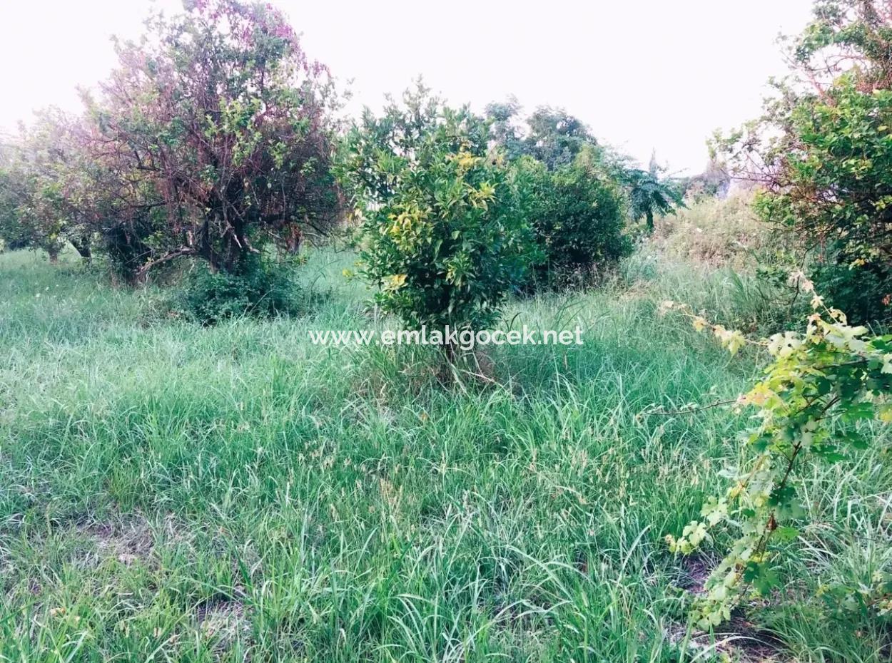 Okçularda Satılık Arsa Okçular Marmarlı Satılık  1,500M2 Satılık Arsa